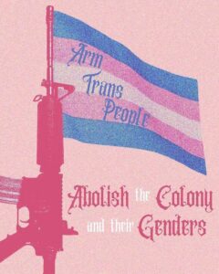 un fusil auquel est accroché un drapeau trans sur le drapeau trans, le texte "Arm Trans People" en dessous, le texte "Abolish the Colony and their Genders"